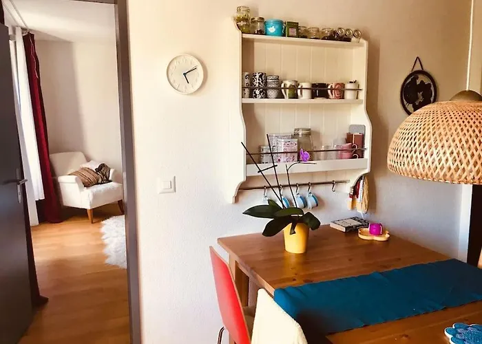 Cosy & Central, Lovely Terrace Over River & Park Apartamento Zúrich