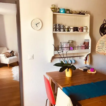 Cosy & Central, Lovely Terrace Over River & Park Apartment Zurich